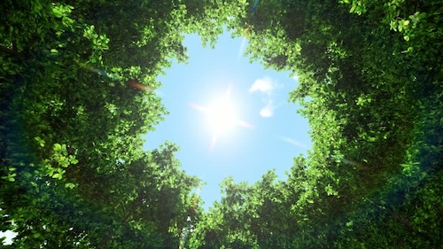 ¿Cómo crear un ecosistema abierto en el tercer sector?